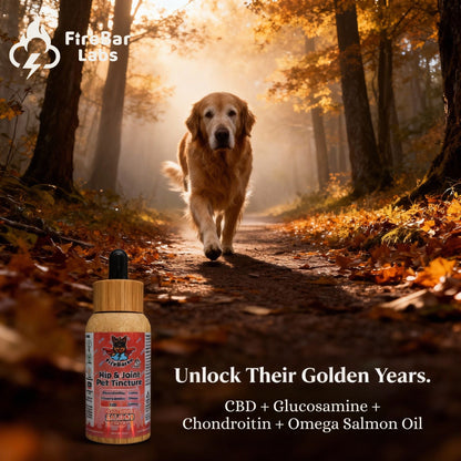 FireBarks Hip & Joint CBD Tincture – 500mg CBD, Chondroitin, Glucosamine & Omega 3 Salmon Oil - FireBar Labs - 