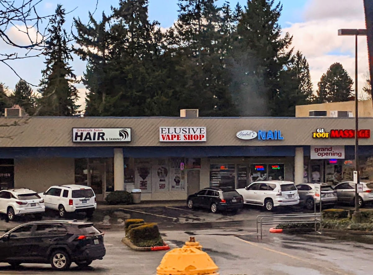 Elusive Mart Cheap Disposables storefront in Renton, WA